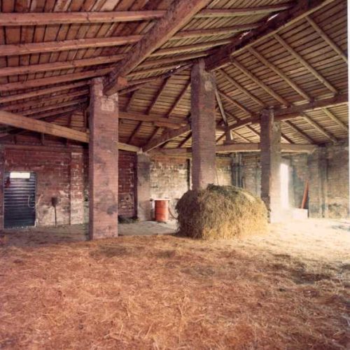 tiz con fieno   1996