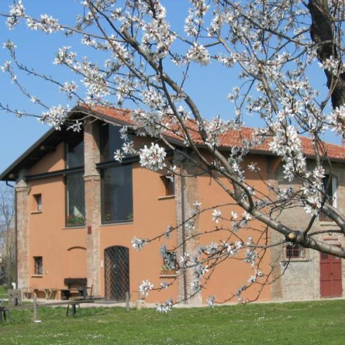 Tiz-aprile-001